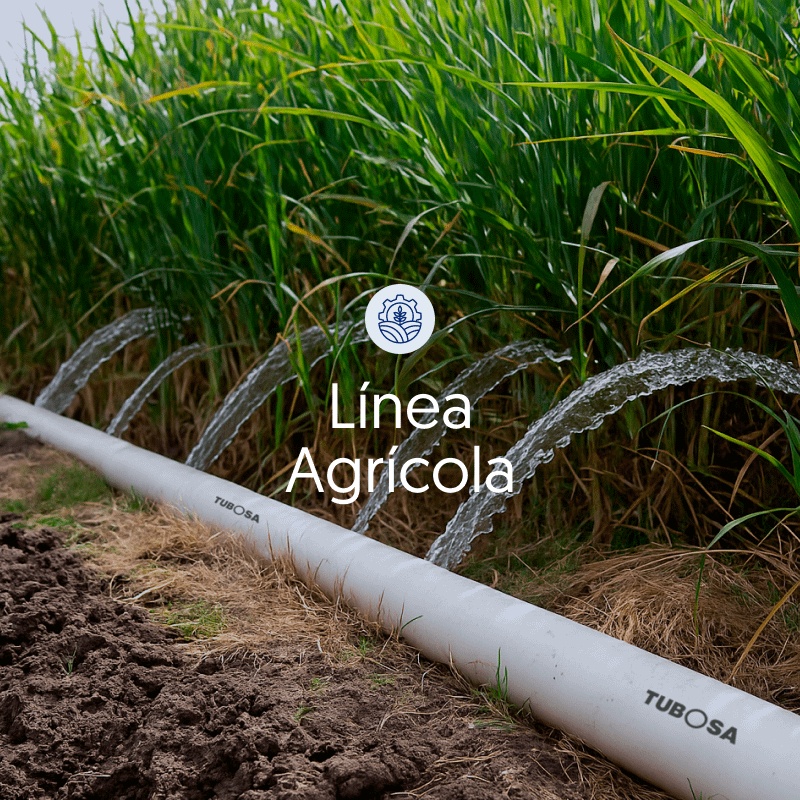 banner-agricola-800